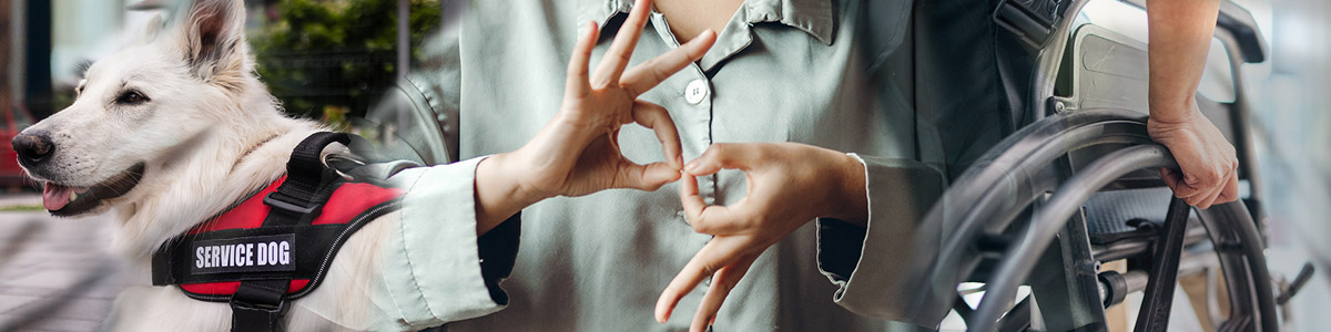 Service dog with vest,Service dog wearing a vest, hands signing in ASL, and a person using a wheelchair representing accessibility services.person signing ASL in sign language, person in wheelchair to show the full range of accessibitiy services.