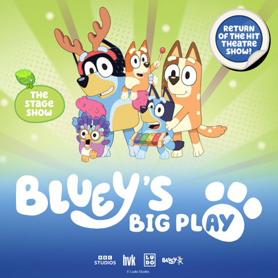 More Info for Bluey's Big Play